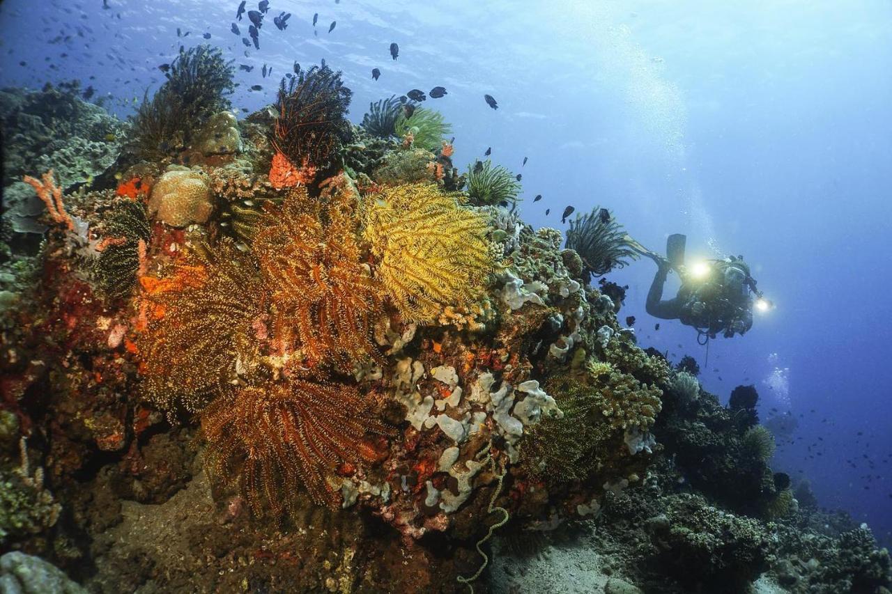La Tortue Diving Resort Дауин Екстериор снимка