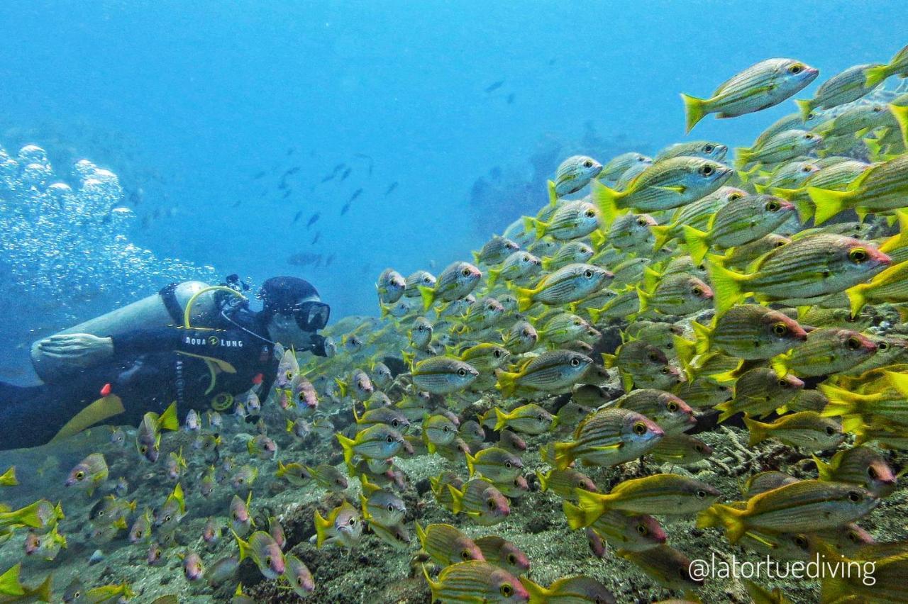 La Tortue Diving Resort Дауин Екстериор снимка