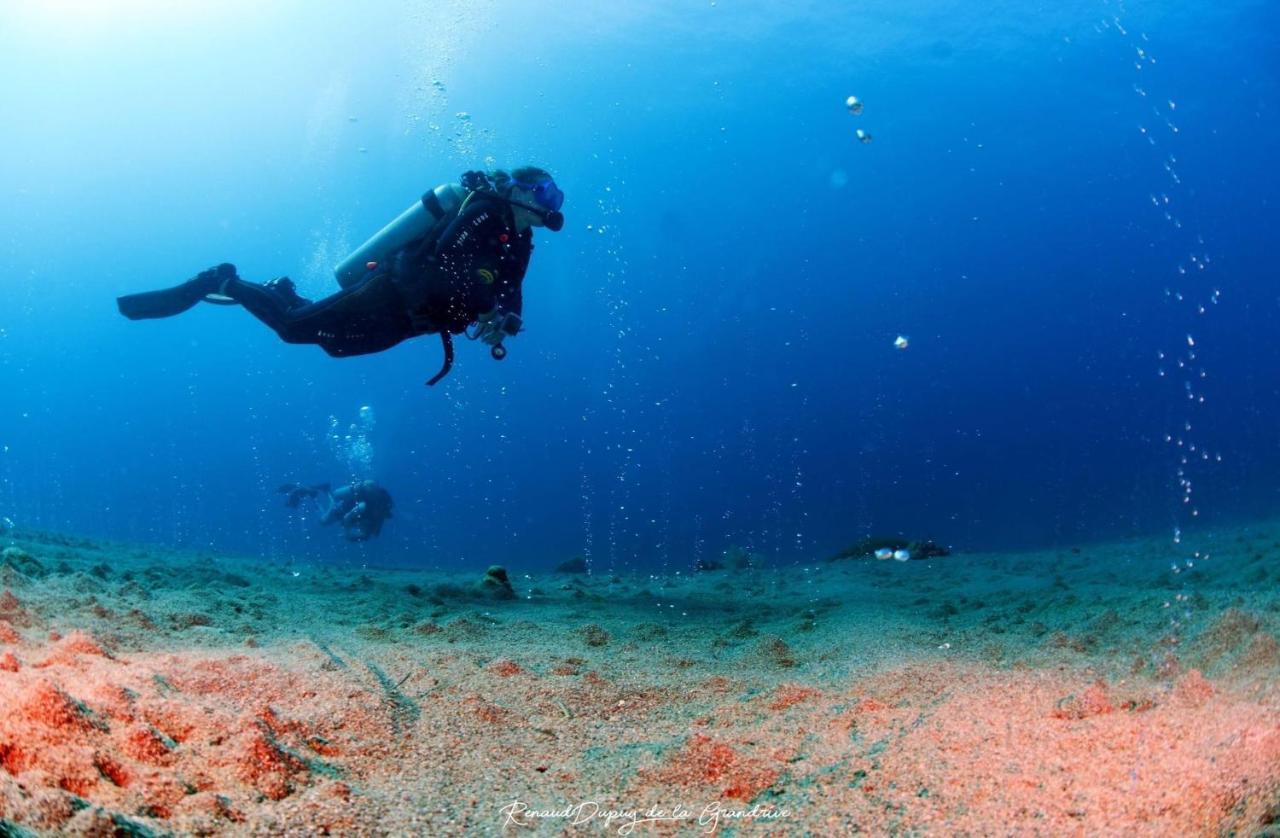 La Tortue Diving Resort Дауин Екстериор снимка