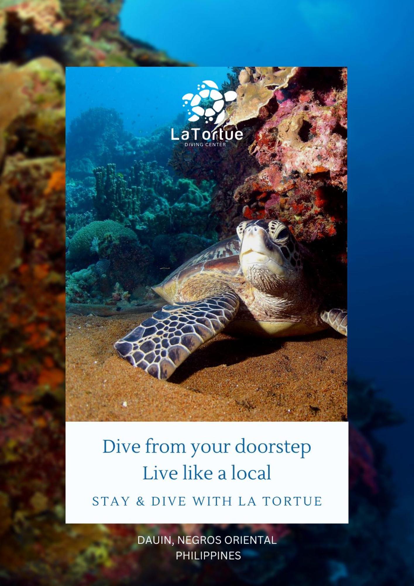 La Tortue Diving Resort Дауин Екстериор снимка